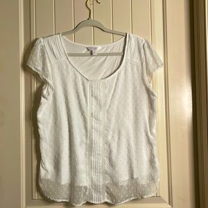 Lauren Conrad ▪️White Blouse Tee